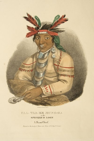 Caa-taa-ke Mung-ga or the Speckled Loon by James Otto Lewis